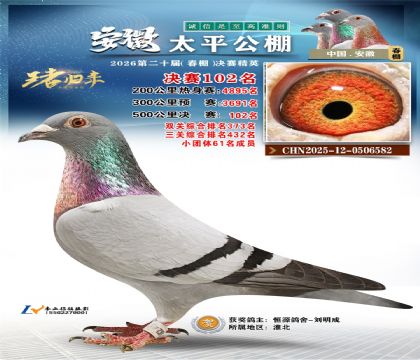 ����̫ƽ����102��