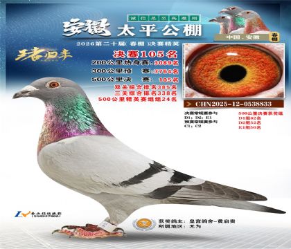 ����̫ƽ����105��