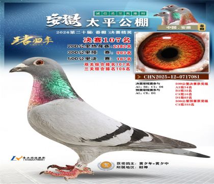 ����̫ƽ����107��