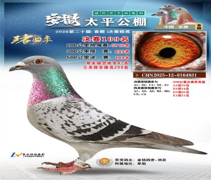 安徽太平决赛109名