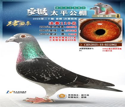 安徽太平决赛110名