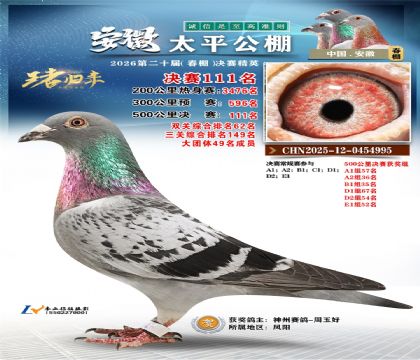 安徽太平决赛111名