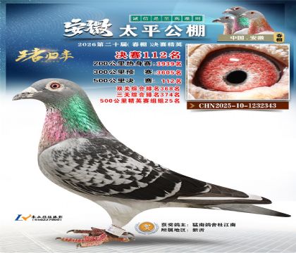 安徽太平决赛112名