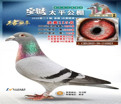 安徽太平决赛115名