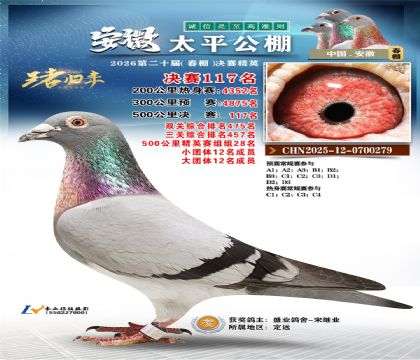 安徽太平决赛117名