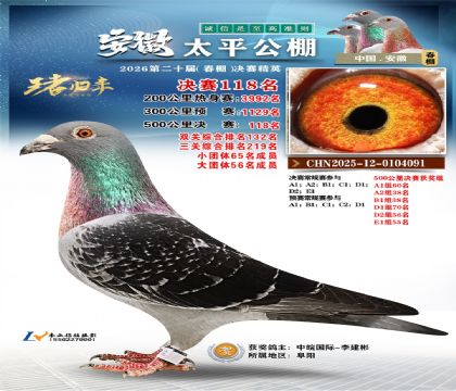 安徽太平决赛118名