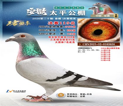 安徽太平决赛119名