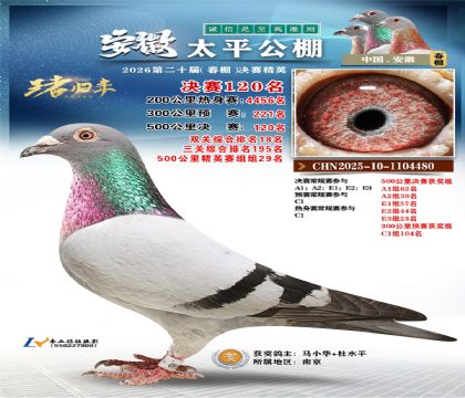 安徽太平决赛120名