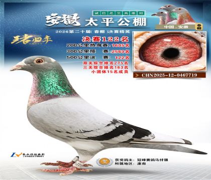 安徽太平决赛122名