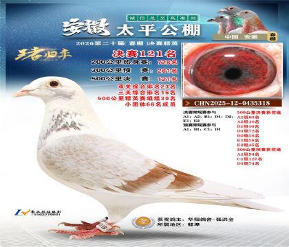 安徽太平决赛121名