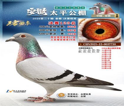 安徽太平决赛123名