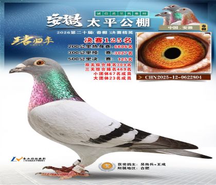 安徽太平决赛125名