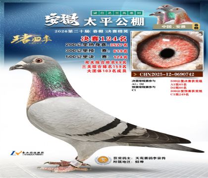 安徽太平决赛124名