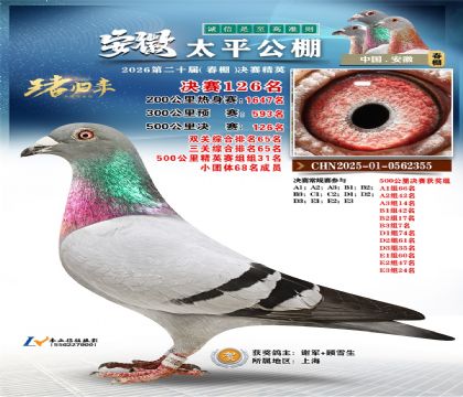 安徽太平决赛126名