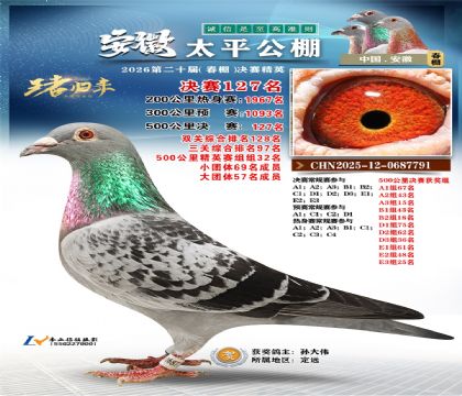 安徽太平决赛127名