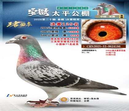 安徽太平决赛129名