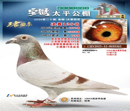 安徽太平决赛128名