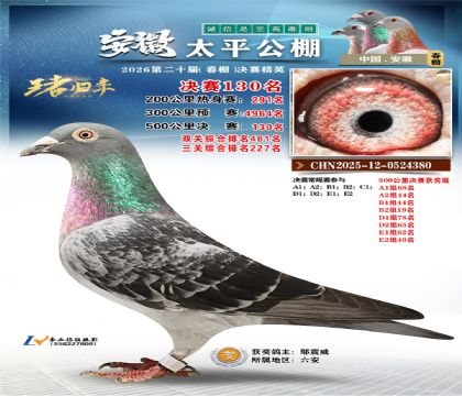 安徽太平决赛130名