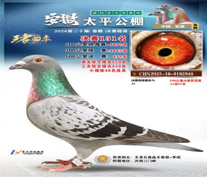 安徽太平决赛131名