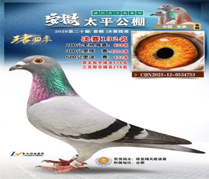 安徽太平决赛132名