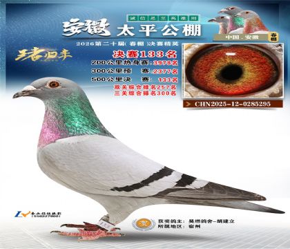 安徽太平决赛133名