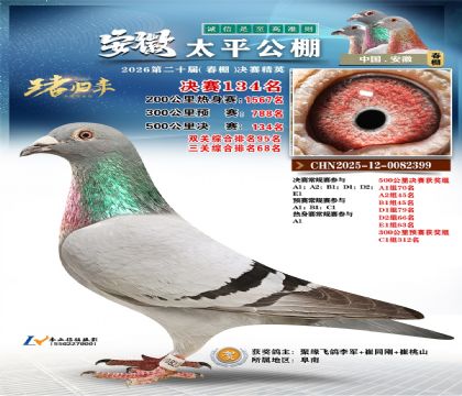 安徽太平决赛134名