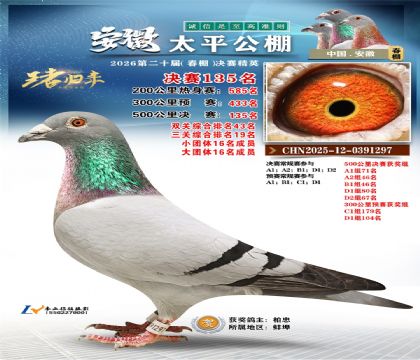 安徽太平决赛135名