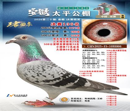 安徽太平决赛136名