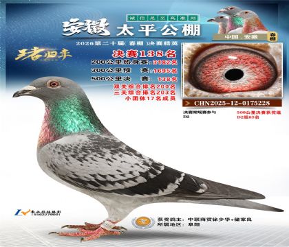 安徽太平决赛138名