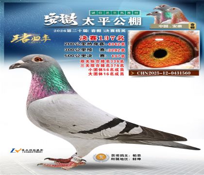 安徽太平决赛137名