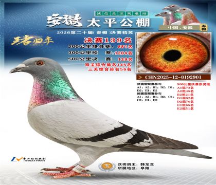 安徽太平决赛139名