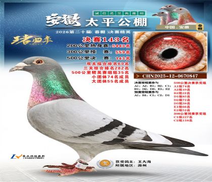 安徽太平决赛143名