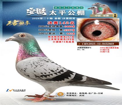 安徽太平决赛142名