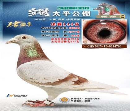 安徽太平决赛144名