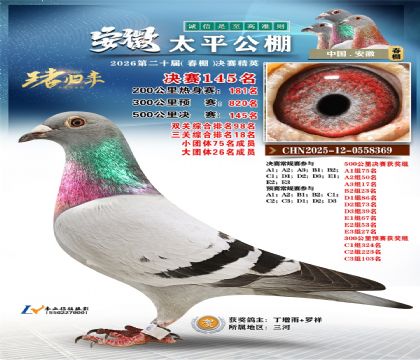 安徽太平决赛145名