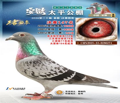 安徽太平决赛147名