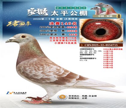 安徽太平决赛146名