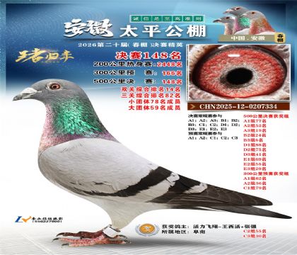 安徽太平决赛148名