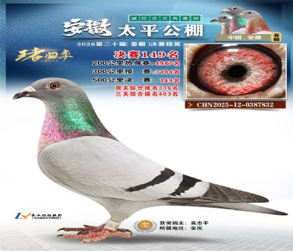 安徽太平决赛149名