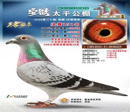 安徽太平决赛151名