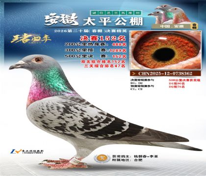 安徽太平决赛152名