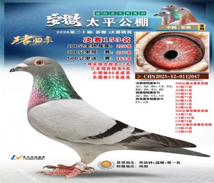 安徽太平决赛153名