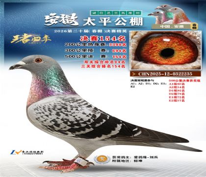 安徽太平决赛154名