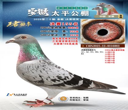 安徽太平决赛155名