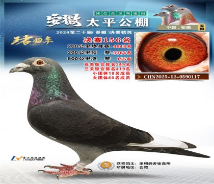 安徽太平决赛156名