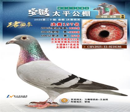 安徽太平决赛157名