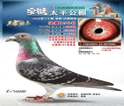 安徽太平决赛158名