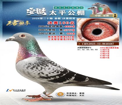 安徽太平决赛160名