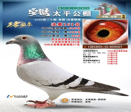 安徽太平决赛161名