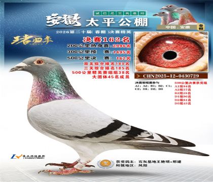 安徽太平决赛162名